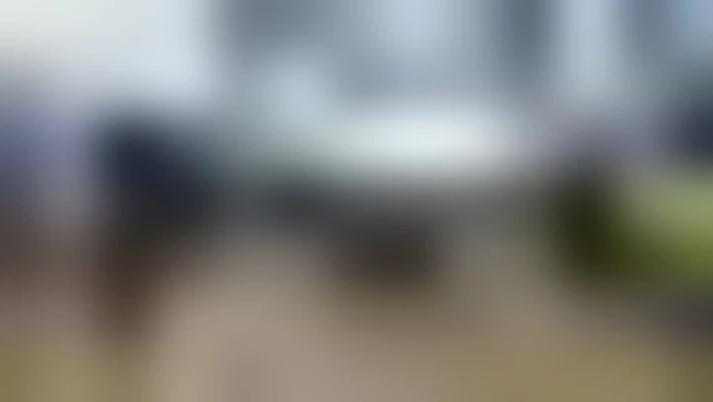 L'Egitto consegna aiuti in Libano e chiede stop agli attacchi