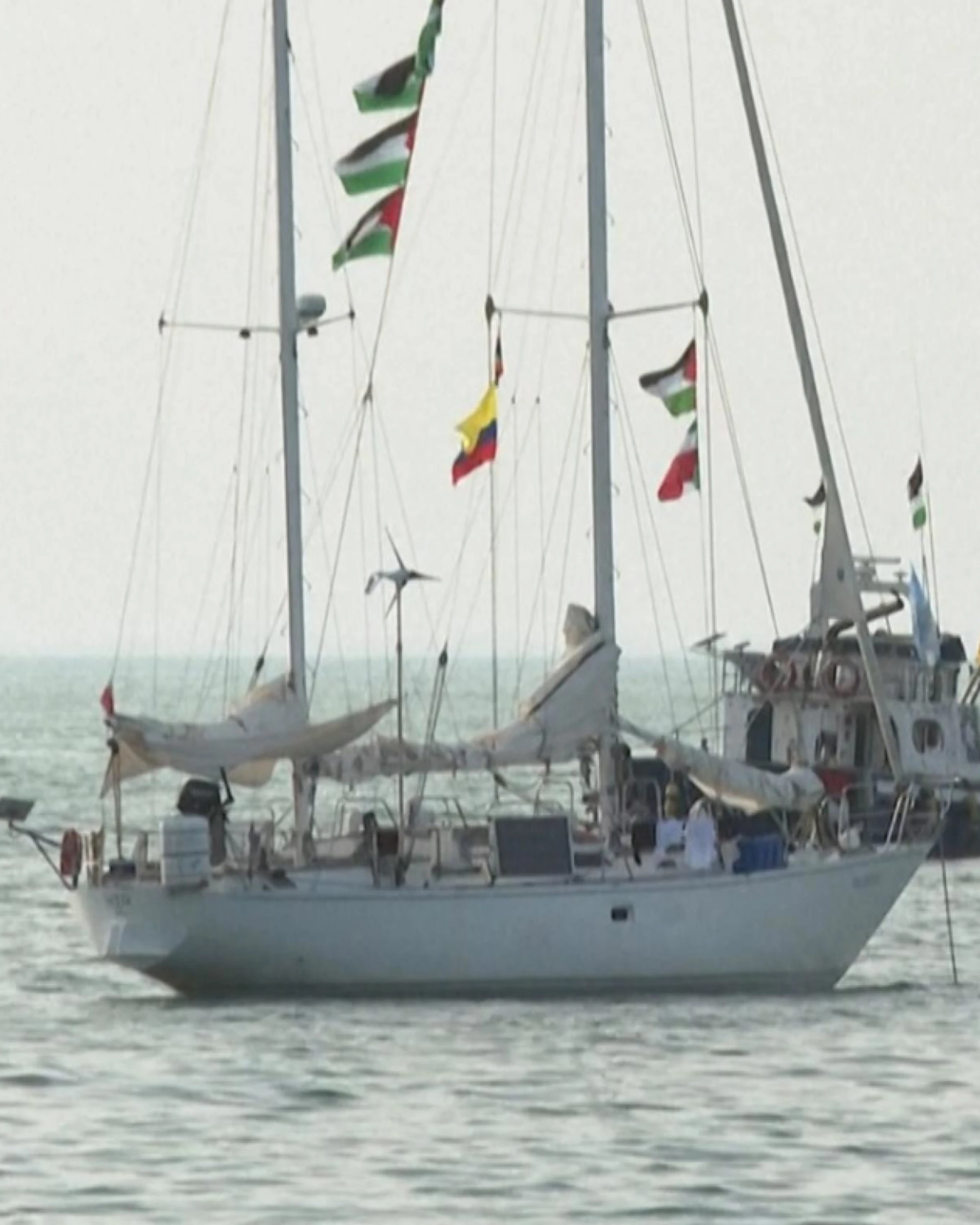 Flotilla pro-Pal e l'era di Hitler, quelle similitudini