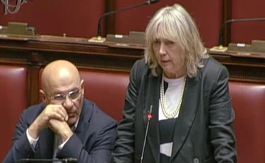 Flotilla, circo-Avs: "Colpita da un missile", la sparata della Zanella