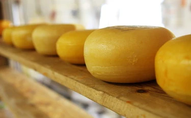 MangiÃ² formaggio a latte crudo: Mattia Maestri morto a 13 anni dopo 9 anni di coma