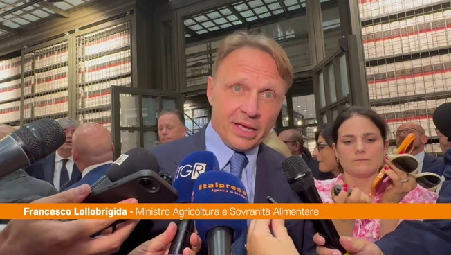 Lollobrigida "Il vino un prodotto strategico per l'Italia"