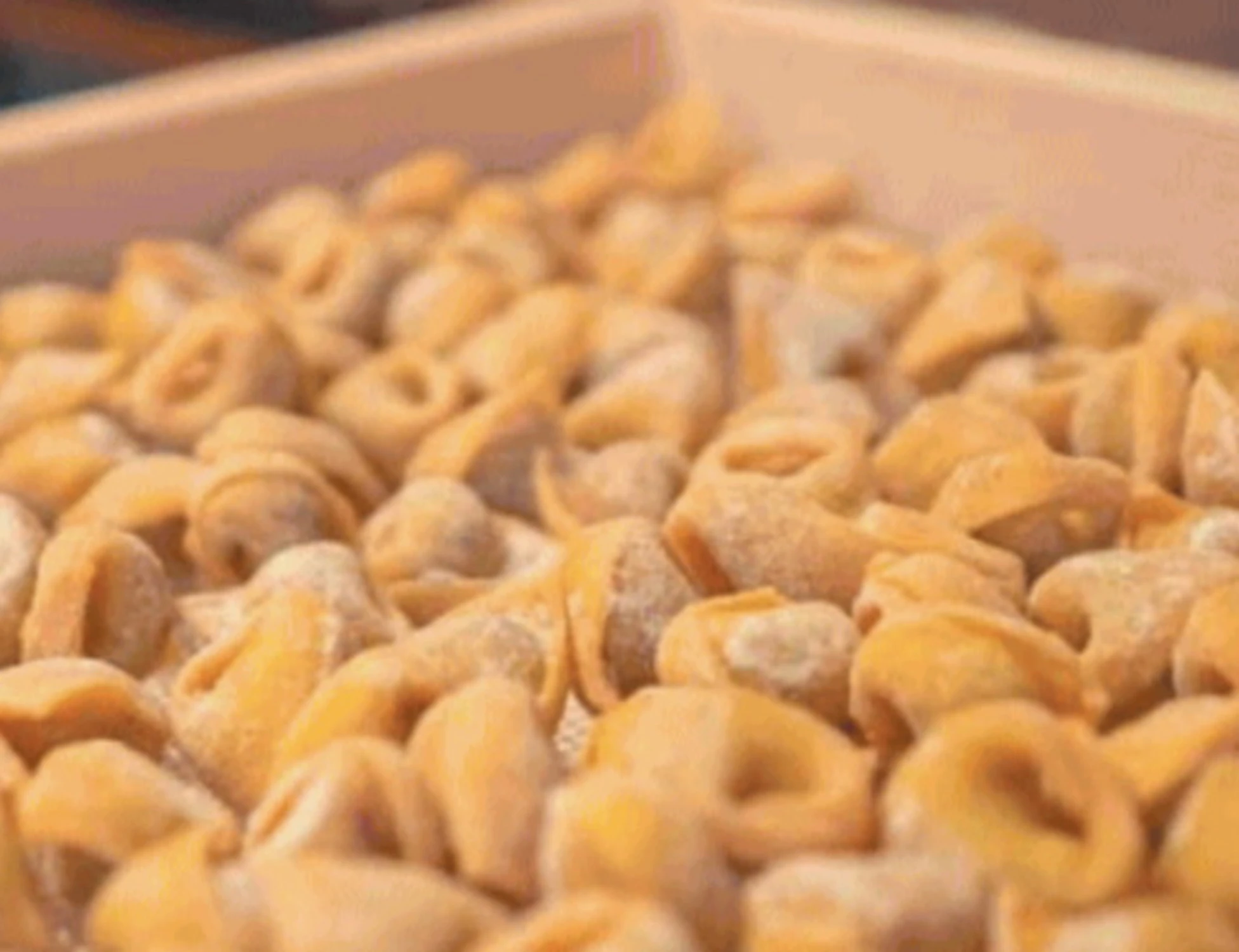 Sacrilegio a Bologna: ecco i "tortellini islamici" senza carne di maiale