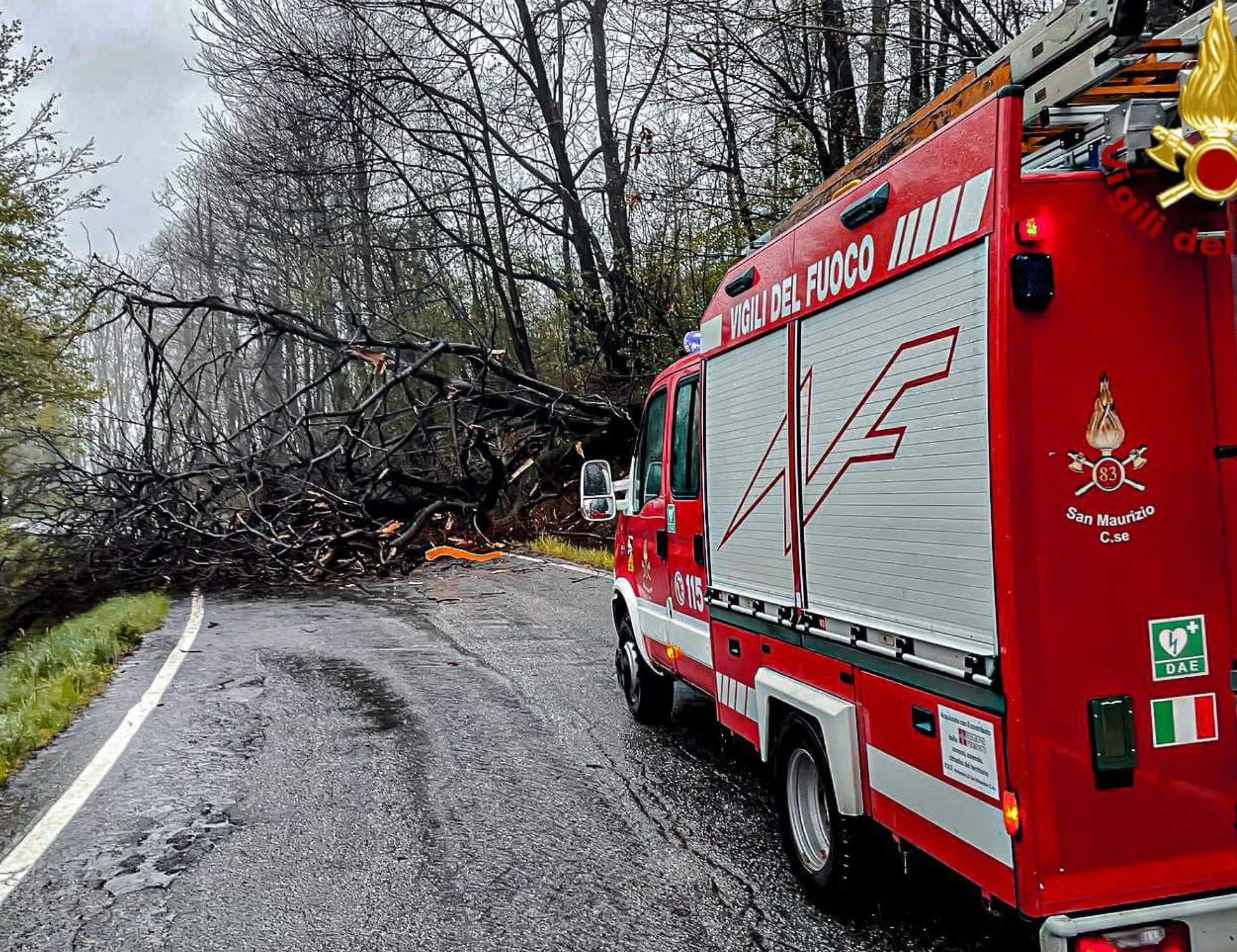 Matera, albero colpito da un fulmine si abbatte su un'auto: un morto