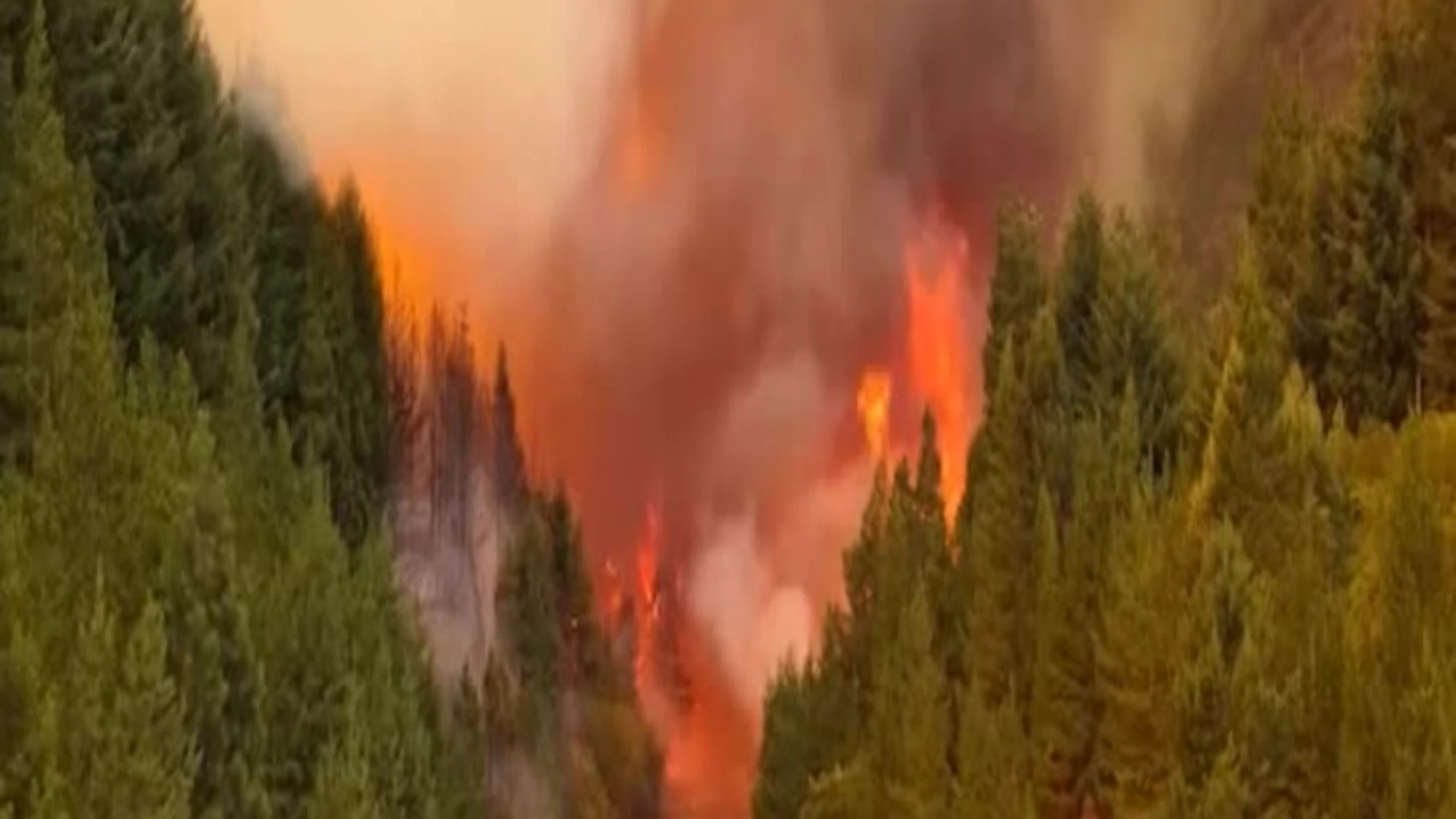 Argentina, il video dell'impressionante incendio nella foresta della Patagonia