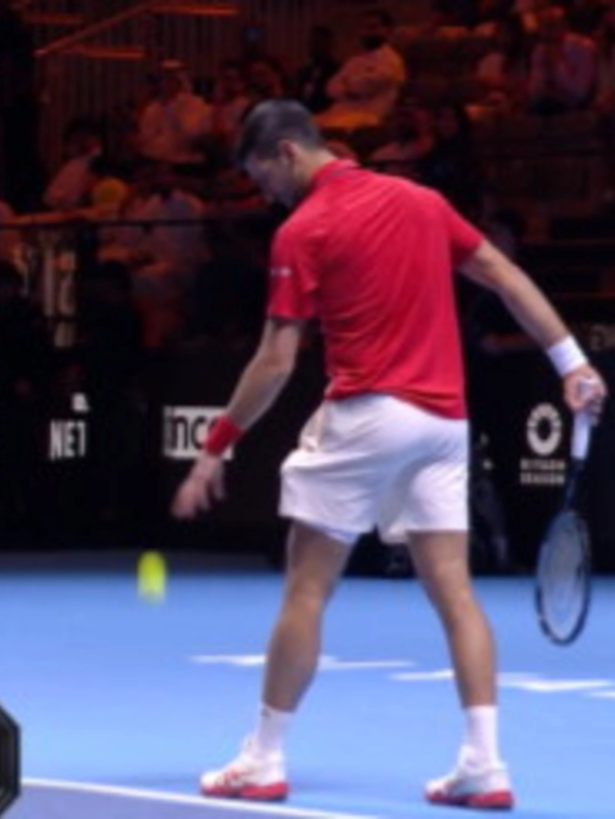 Sinner, Djokovic sbotta: "Quando qualcuno ti fa il c***o"