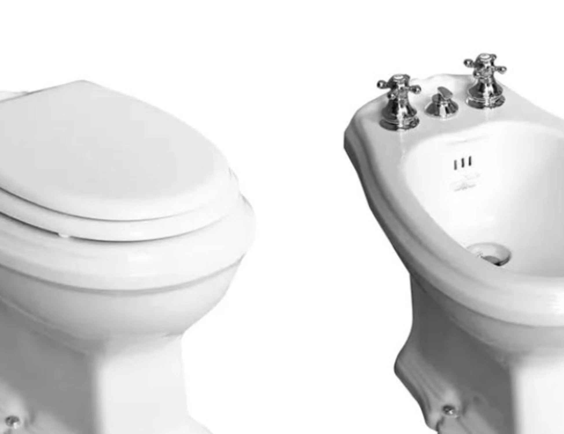 Referendum Giustizia, chi vota "Sì" come un water e un bidet: lo sfondone di Bachelet