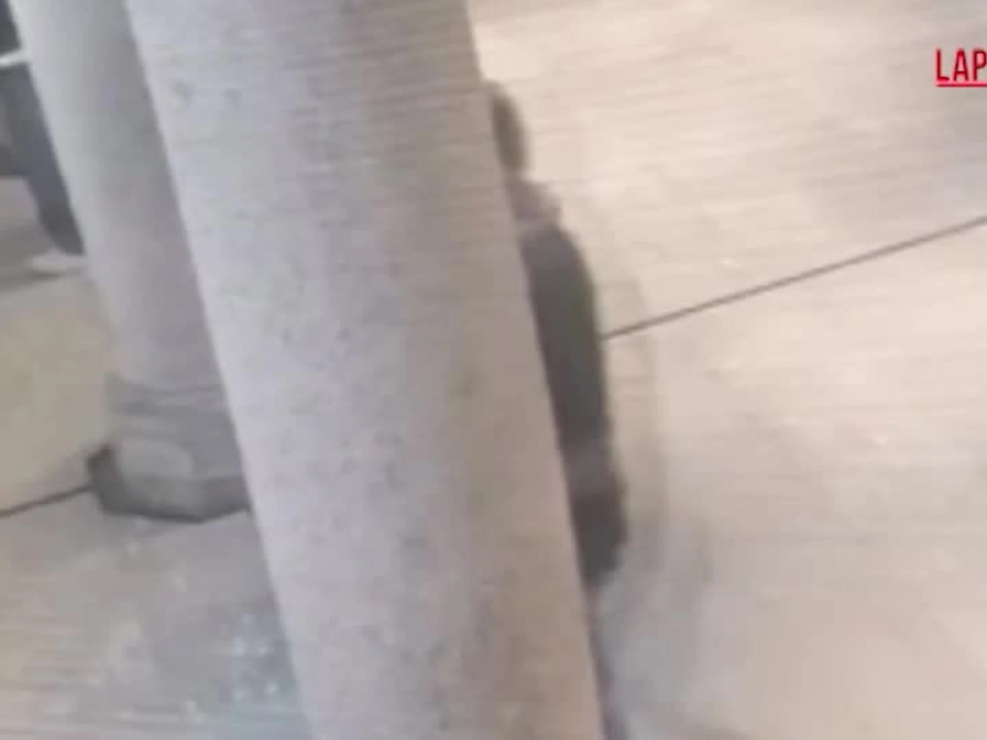 Emanuele De Maria, le immagini dell'acquisto del biglietto in Duomo