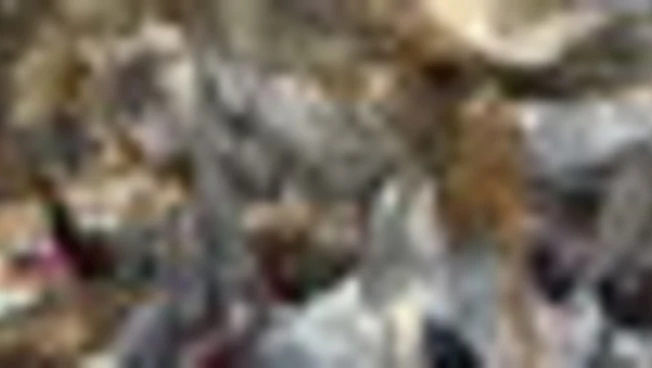 https://media.liberoquotidiano.it/hVDKrFMzAEJvjVjmkddf-heBvkV7vdnPRfOu51ItvqU/width:800/quality:90/aW1hZ2VzLzIwMjUvMDkvMDQvMTM0NTI4NzUwLWRkZjllNzFkLTM3YmUtNDhlMy05Y2EyLTNlYWMxYTAzYTJlMS5qcGc.webp
