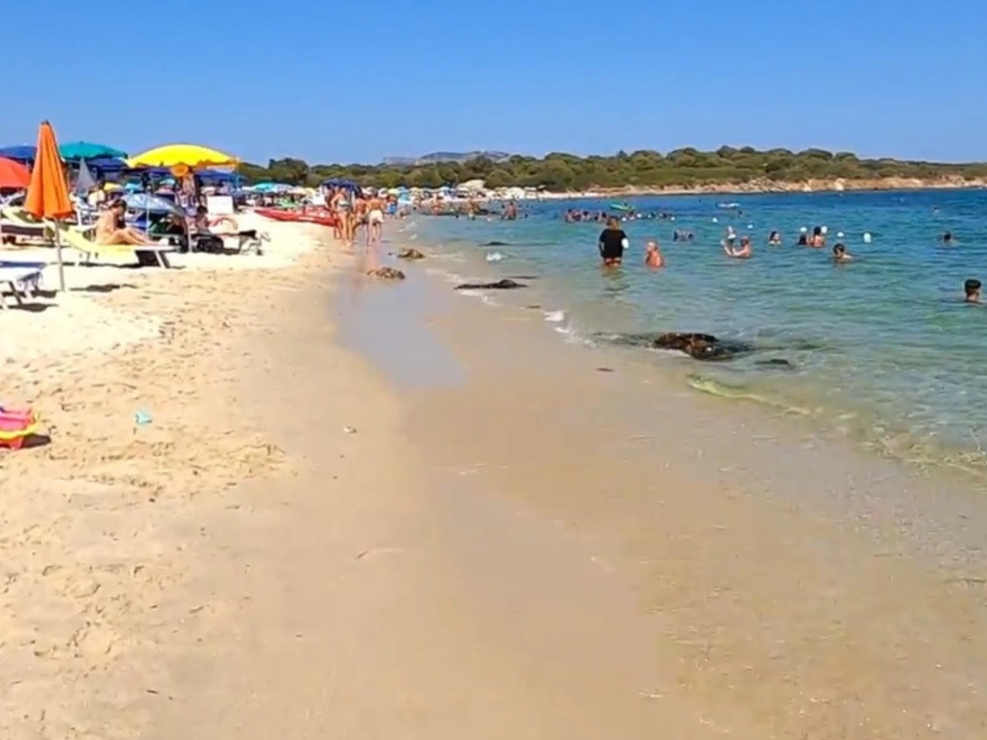 Olbia, "frammenti di carne": orrore in spiaggia, la mossa del pm