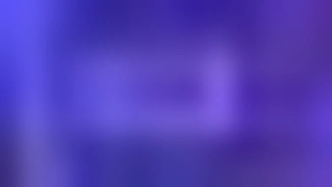 Sostenibilità a 4 zampe con "Pet Carpet: Un riciclo da Oscar"