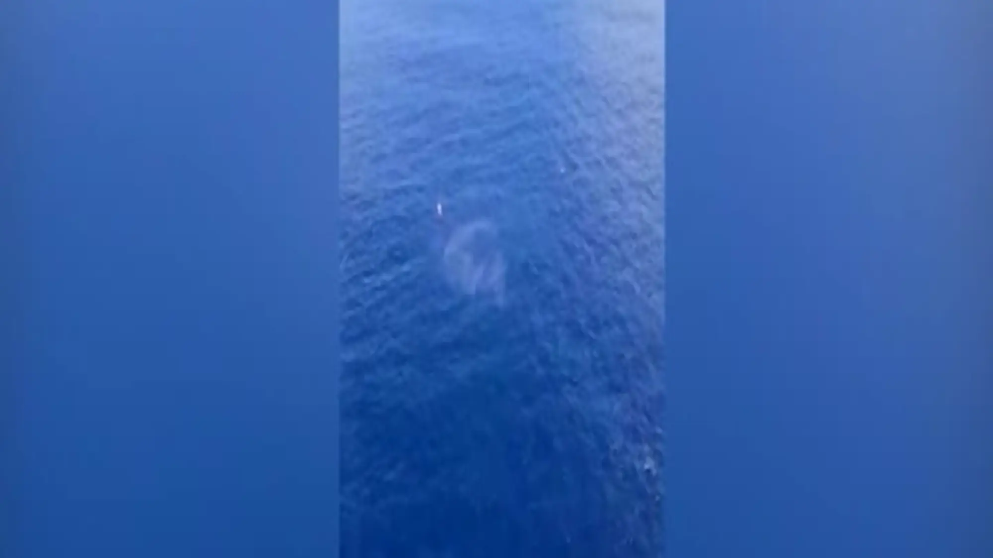 Porto Rico, barca si capovolge in mare: 40 persone soccorse