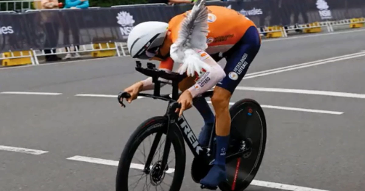 Mondiali di ciclismo, Mollema attaccato dal gabbiano per un pesce sulla t-shirt