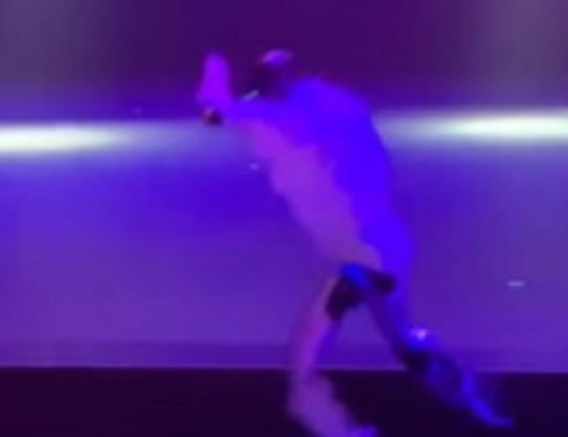 Il robot cinese balla come Michael Jackson: finisce in disgrazia