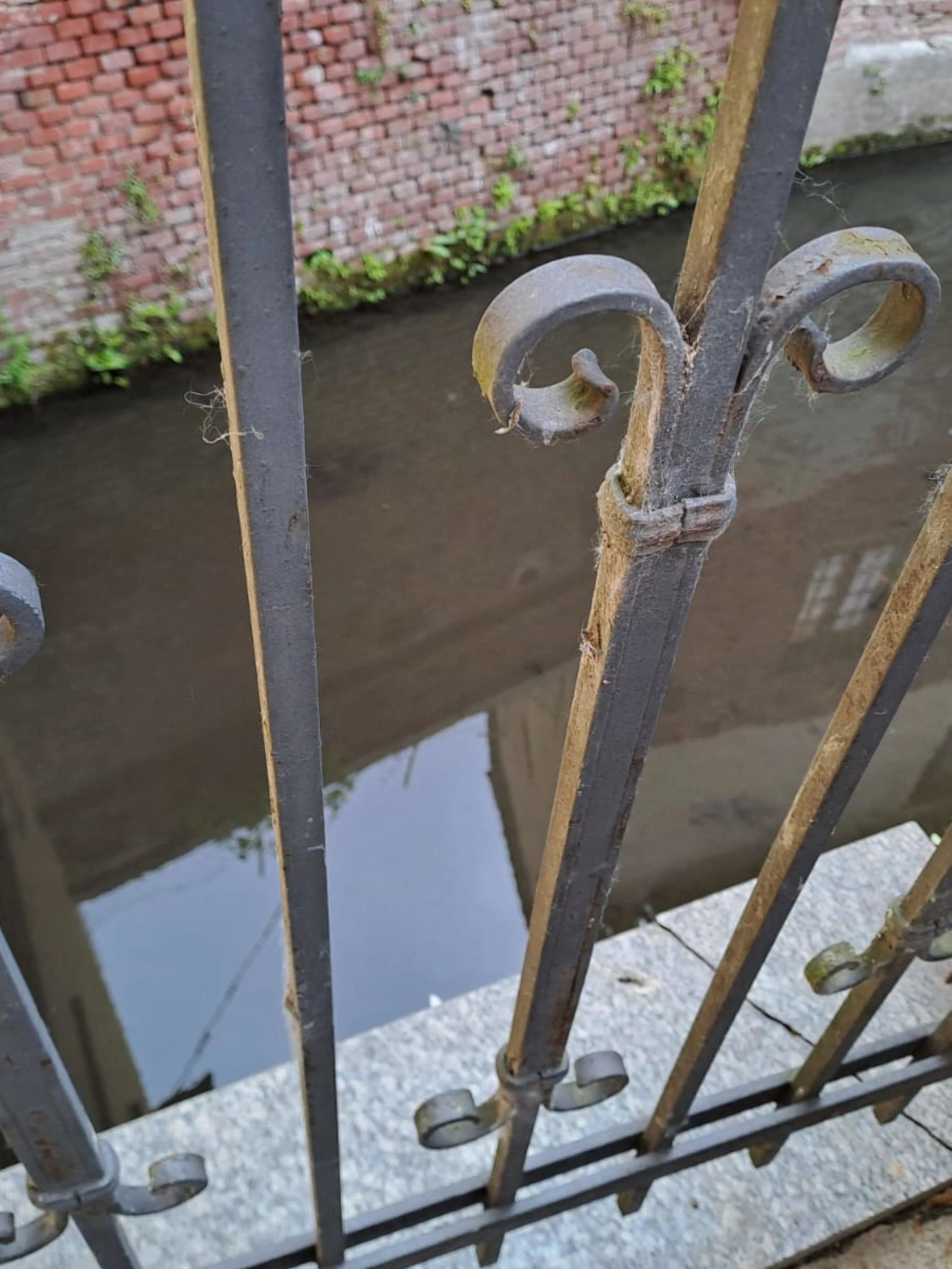 Garlasco, voci choc tra i pm: "Dov'è la firma dell'assassino"