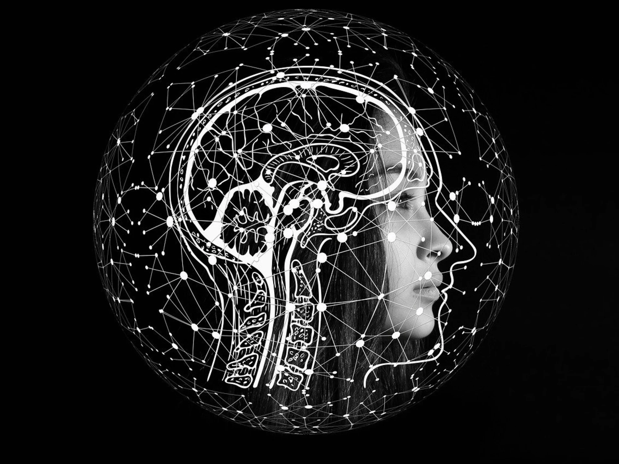 Cambridge deraglia: "Ti esprimi come l'intelligenza artificiale"? Un insulto...