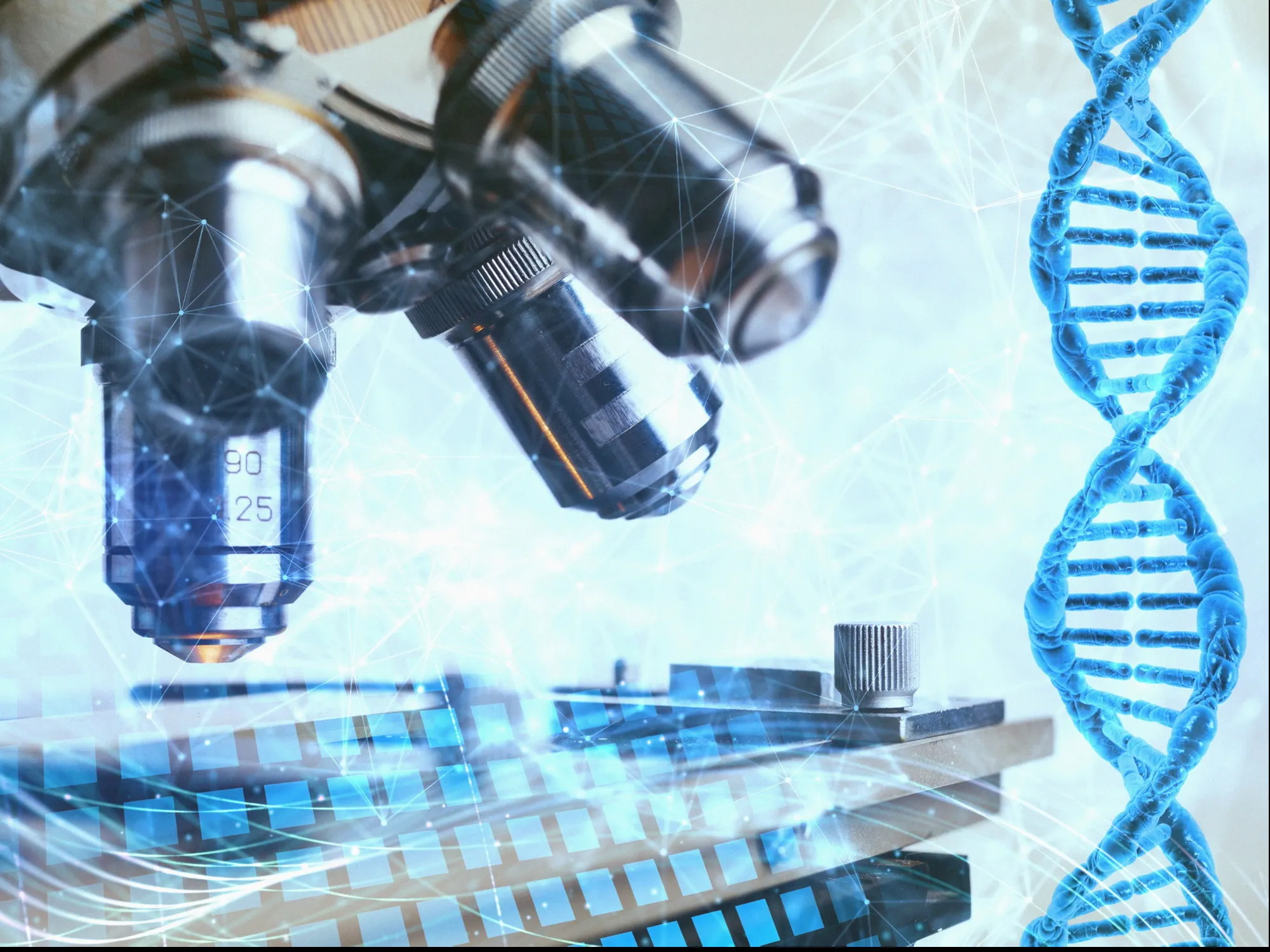 Leggi l'articolo: Longevità, quanto vivremo? La risposta è scritta nel sangue