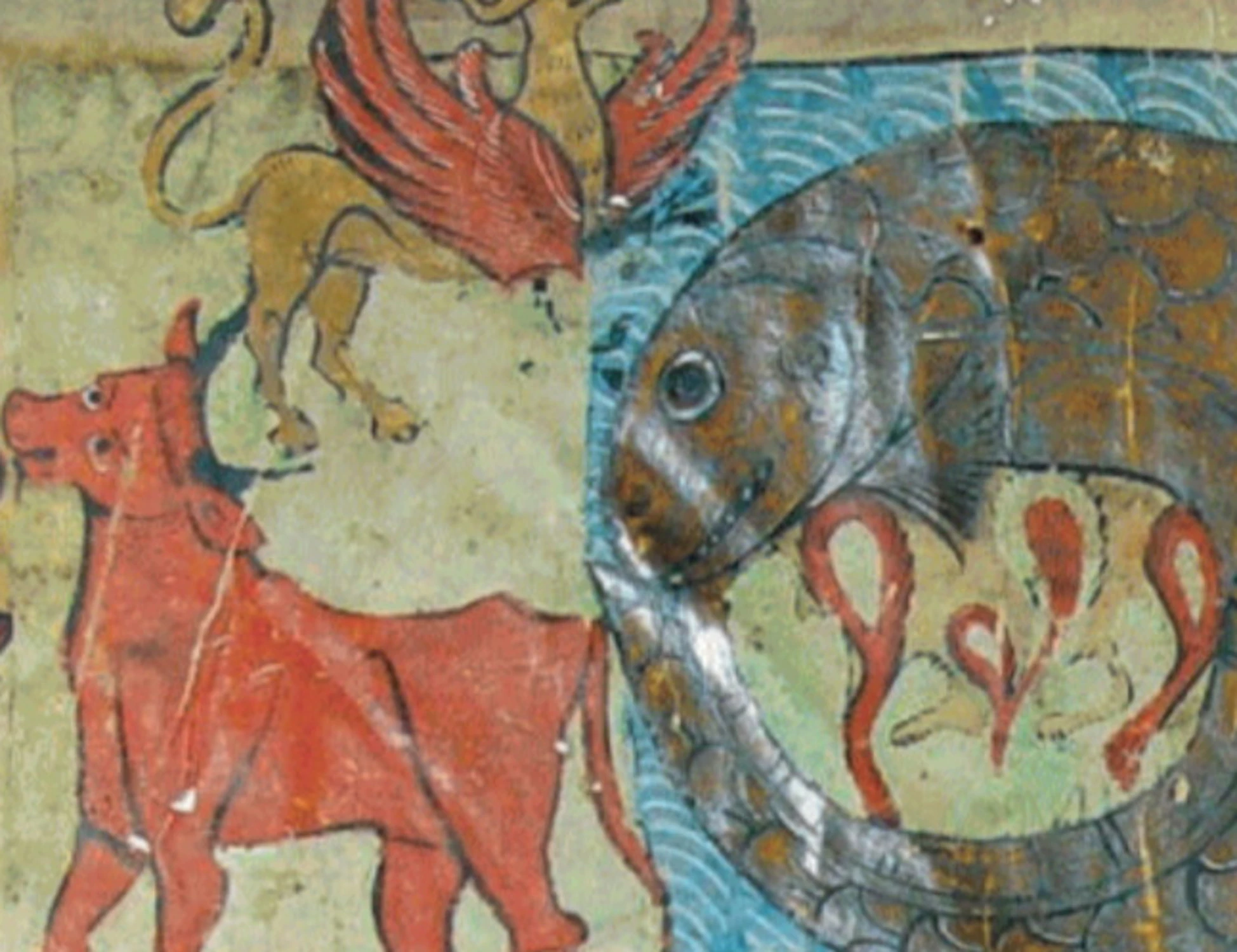Racconti di animali misteriosi e altre meraviglie