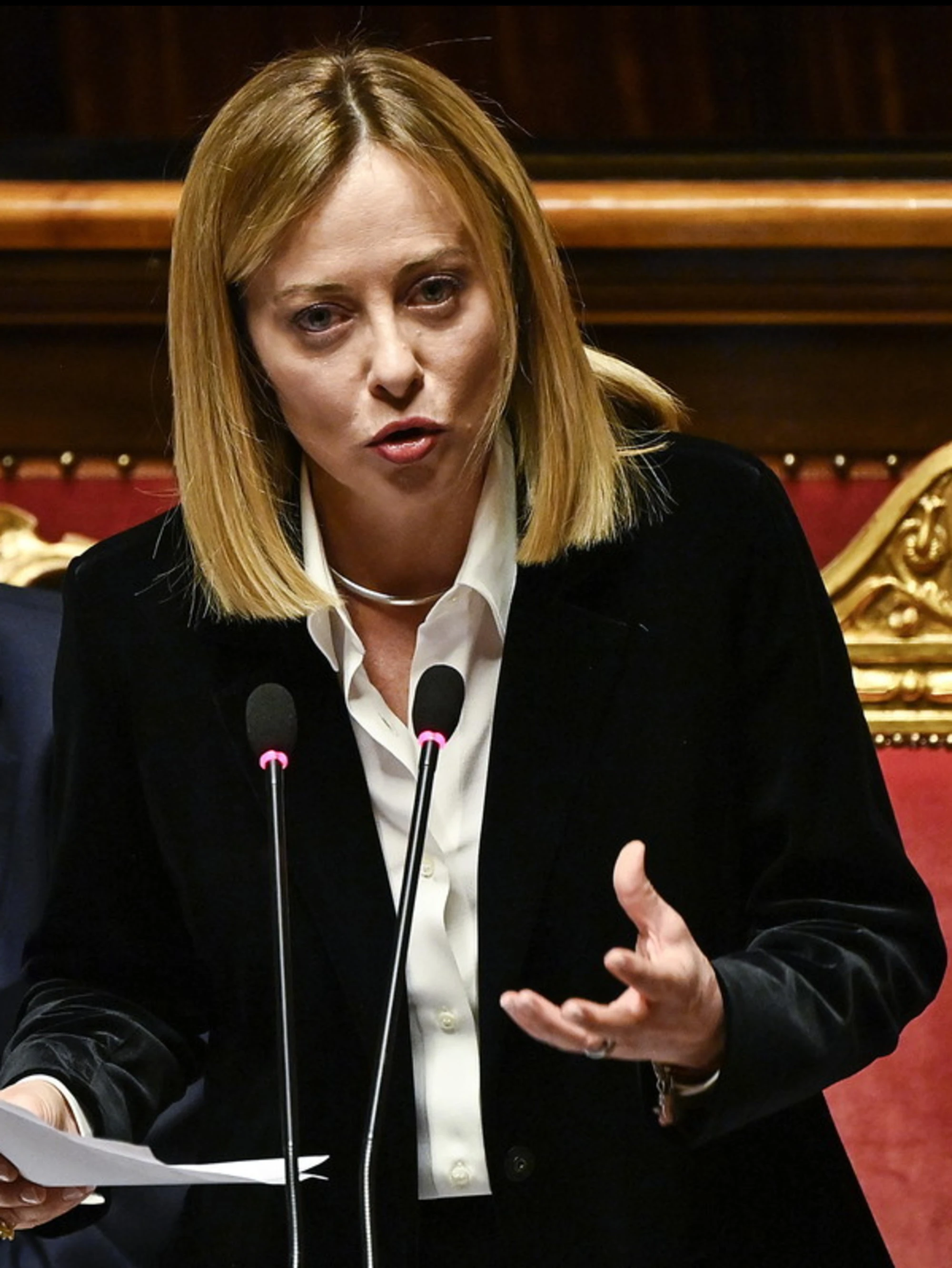 Meloni, l'affondo contro il M5s: "I soldi alla sanità? Li avete bruciati voi per creare consenso"