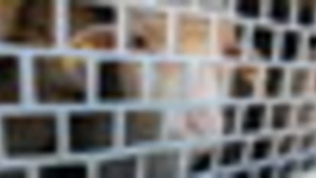 Zampe incastrate e niente acqua, il trasporto degli ovini per Pasqua