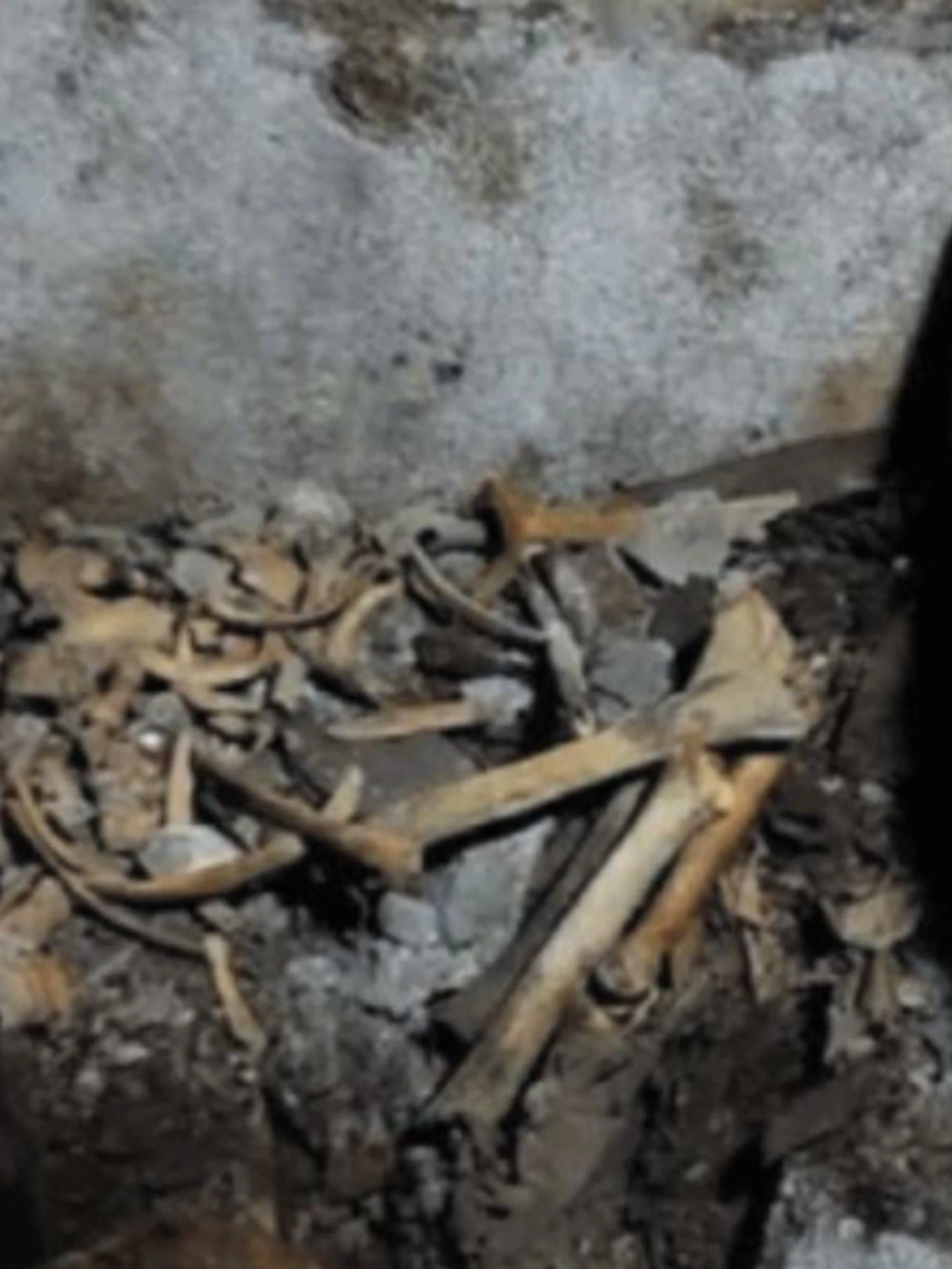 Quell’ultimo mistero di Dracula: potrebbe essere sepolto a Napoli