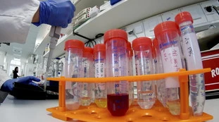 Laboratorio per lo studio del coronavirus