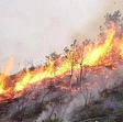 Genova, emergenza incendi: