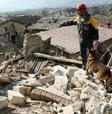 Terremoto, l'ora del dolore