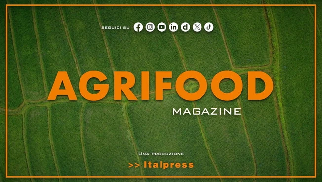 Agrifood Magazine - 28/1/2026