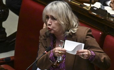 Elezioni in Serbia e Brasile, il fango di Zanella su Meloni: "Le brucia talmente tanto..."