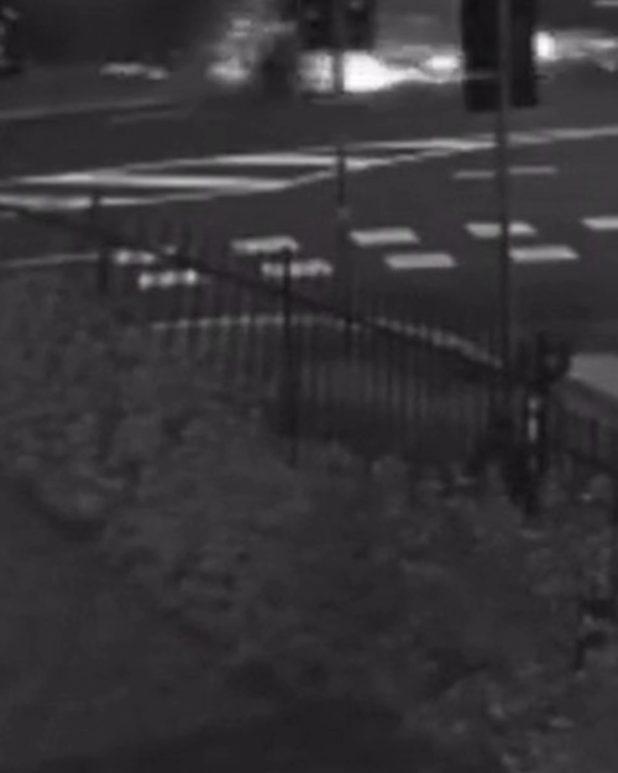Bologna, il video dello schianto dei due albanesi: "Andavano a 150 all'ora"
