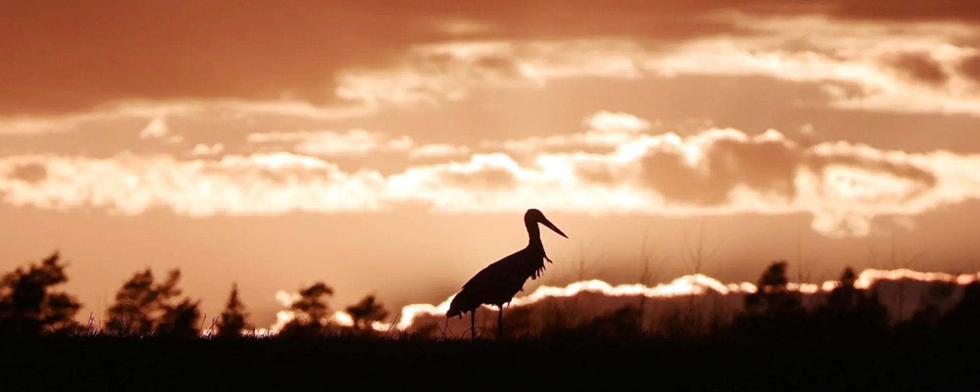 Meteo, addio anticiclone: come cambia il tempo da lunedì