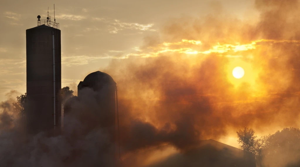 Meteo, l'esperto sulle temperature-killer: "L'Africa si è spostata da noi". Ecco cosa ci aspetta, scenari spaventosi