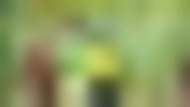 https://media.liberoquotidiano.it/imkyBrvQuivVPnVMRUhqHbhnFwiz3TuChnaUKNb7AIg/width:800/quality:90/aW1hZ2VzLzIwMjYvMDgvMzEvMDkyNTI4ODMyLThiNDBmZDlmLTVlZjYtNGY5NC1hODdmLTA3ZWUzYTRjNDc2NC5qcGc.webp