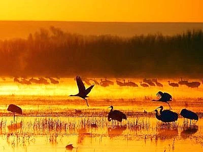 Italia al top in Europa per biodiversità, ma alto il livello di minaccia ambientale