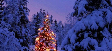 Abruzzo, bimba scrive ai vigli del fuoco: