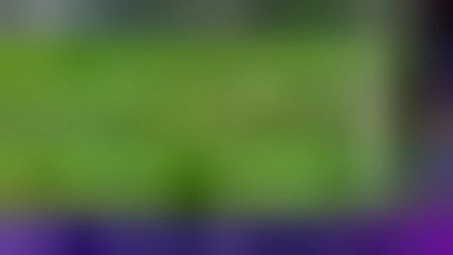 Dagli stadi agli schermi: anche il calcio di Serie A è virtuale