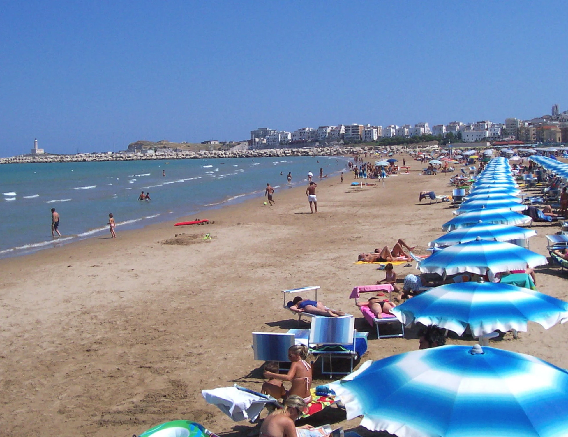 FdI smaschera il gioco di Schlein, il dato che imbarazza la sinistra