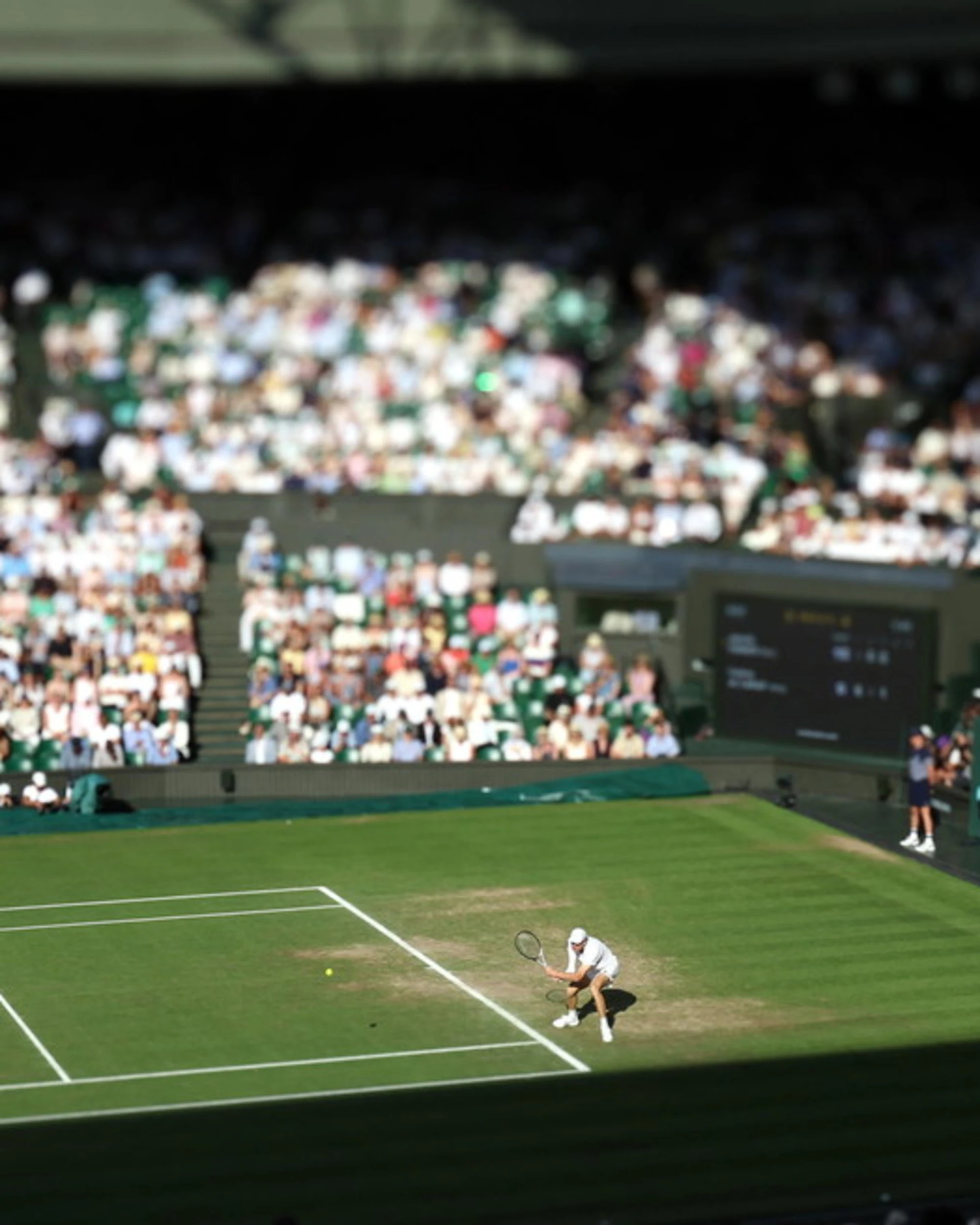 Wimbledon, quanto incassa il vincitore: cifra record