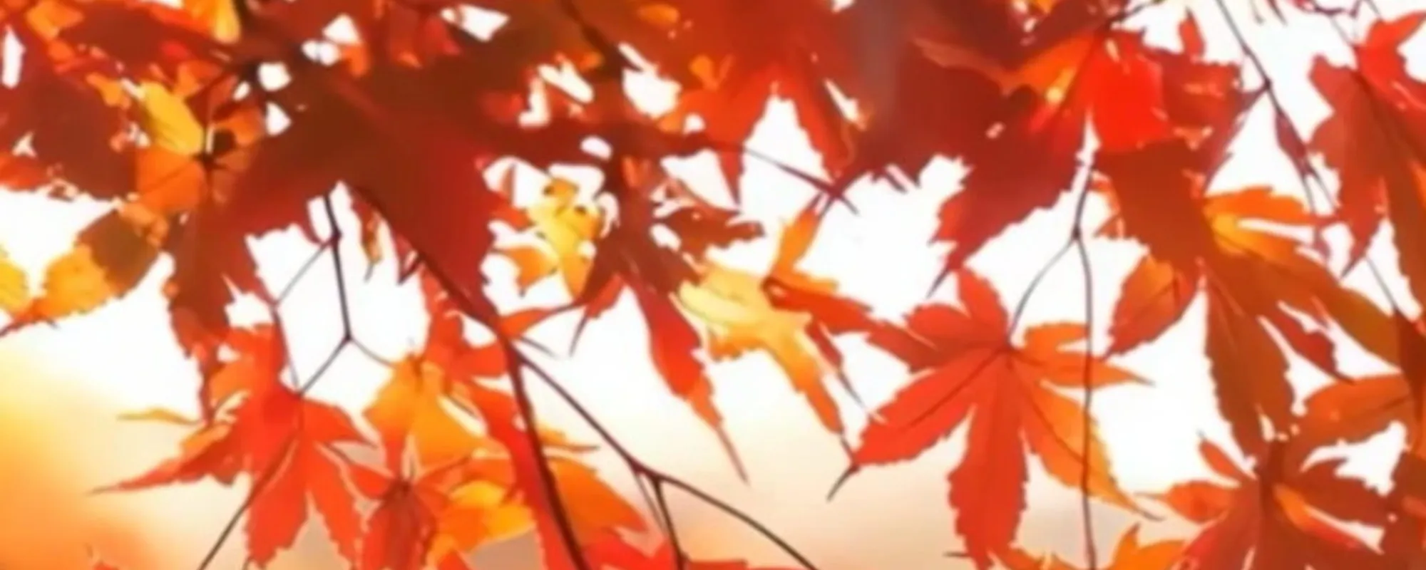 "Estate di San Martino": meteo, un clamoroso ribaltone