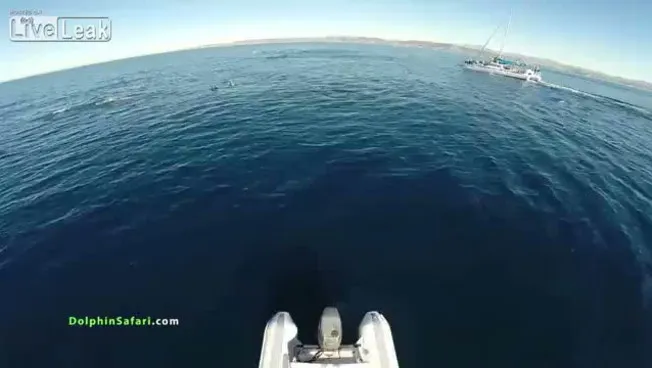 640x360