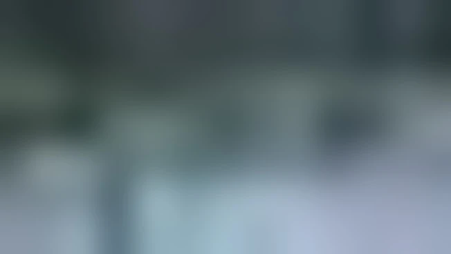 https://media.liberoquotidiano.it/jAIf89ethDYd0tvGenrO9FVCISWgNir-32Ihfj2gXvQ/width:800/quality:90/aW1hZ2VzLzIwMjUvMDkvMzAvMTEwNTI2NDc1LWY1NzlmOTg5LTE0NzQtNDg3MC05NmY5LWM1ZTBlNmQ0OTNmOC5qcGc.webp