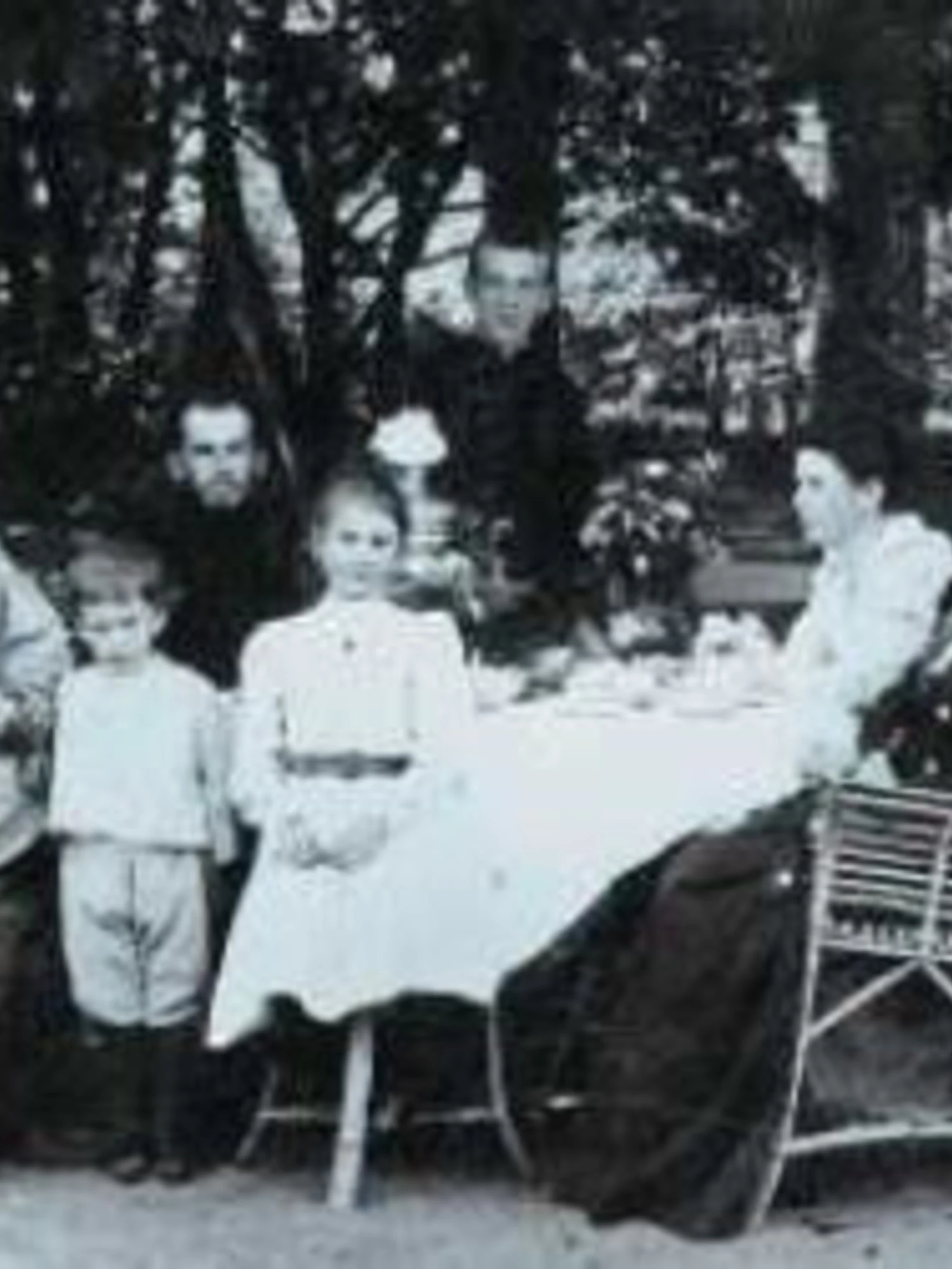 La famiglia di Tolstoj era infelice a suo modo