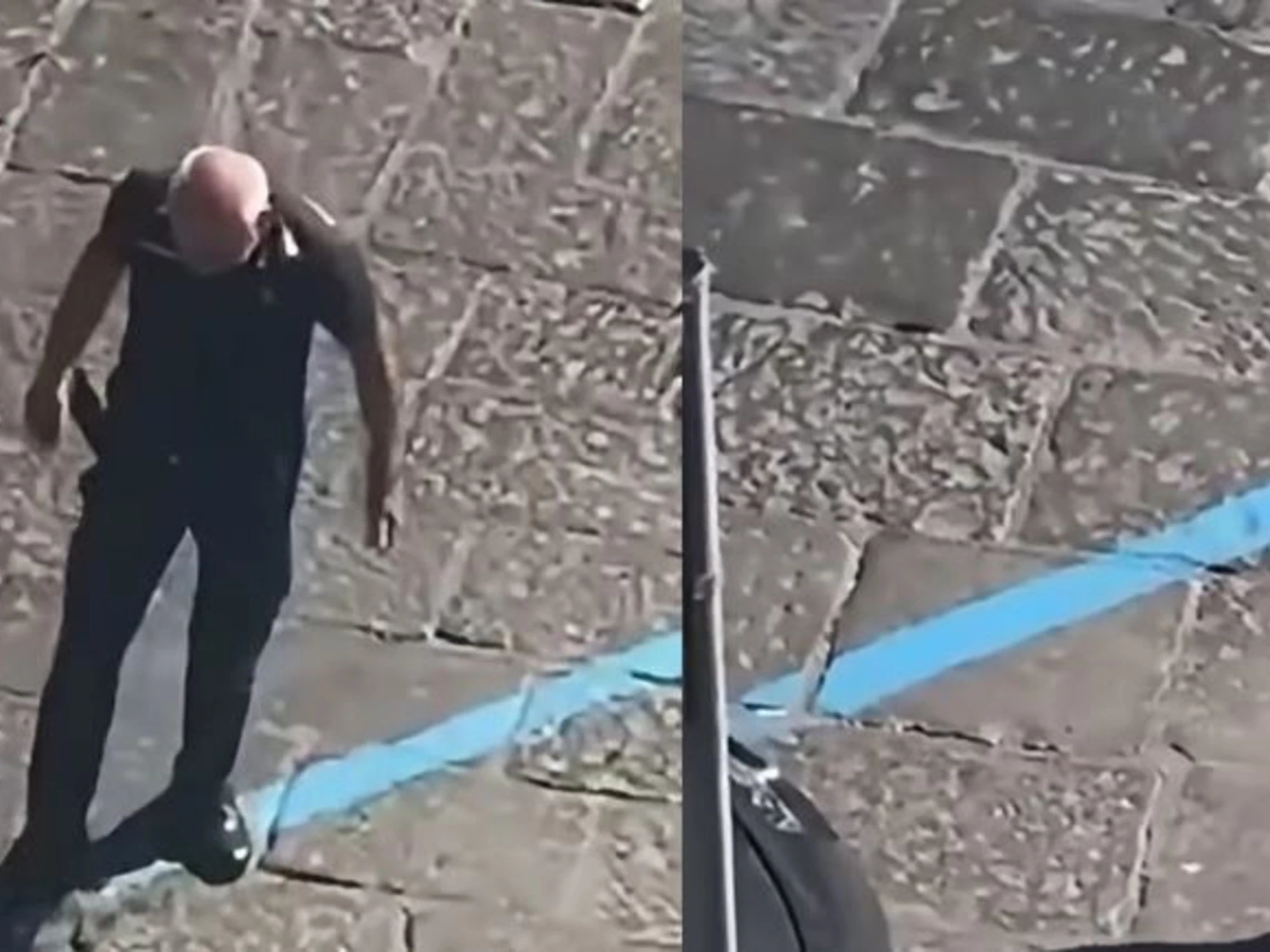 Santa Maria Capua Vetere, gattina investita spostata con un calcio da un vigile