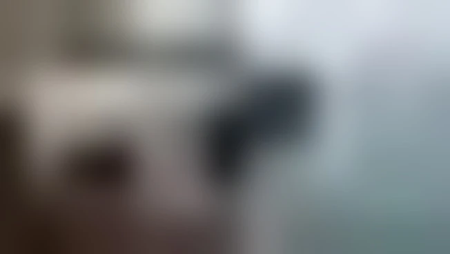 https://media.liberoquotidiano.it/jI7DlLDZkfrvTqzjyt3YGF_TvSFad8fv0fK6XB7Ko4E/width:800/quality:90/aW1hZ2VzLzIwMjUvMDkvMTgvMDkwNjI3NDY0LTU3N2RjYmM2LWIzNjQtNGQxYy04NGEzLTMxZGUzMzMwYmM5Yi5qcGc.webp