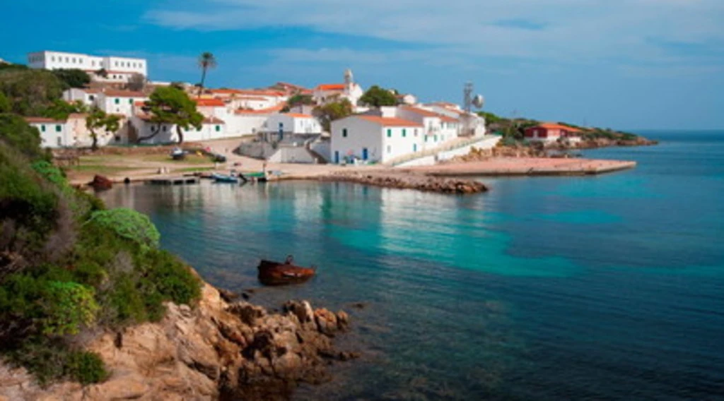 Pd, "bambini fascisti. Cosa gridano". L'ultima crociata all'Asinara