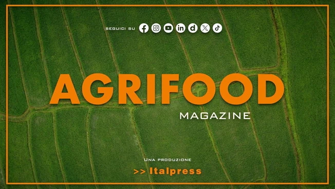 Agrifood Magazine - 13/5/2026