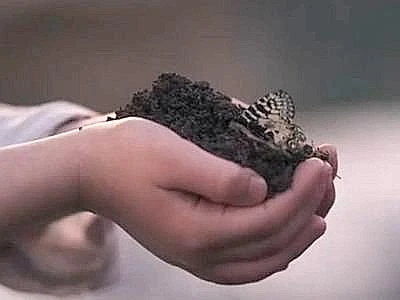 Al via la seconda edizione della Settimana Europea per la Custodia del Territorio