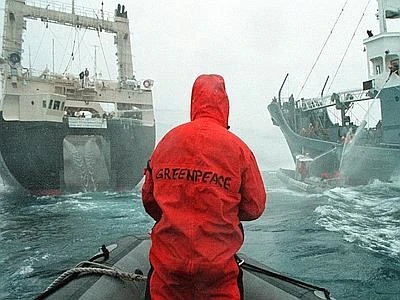 Greenpeace, Letta si attivi per la liberazione degli 'Arctic 30'