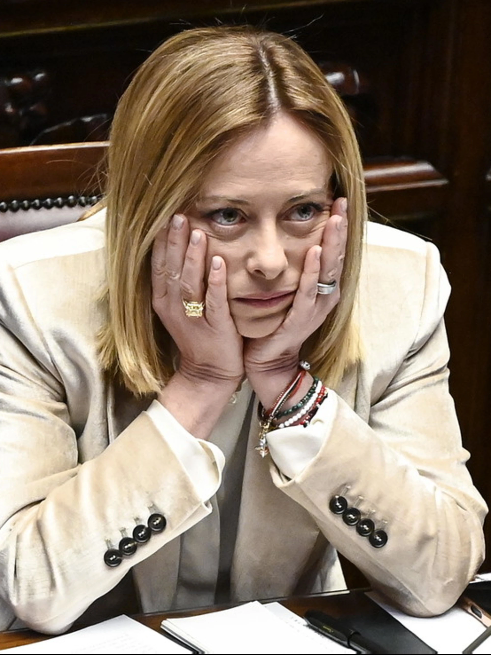 Giorgia Meloni, lo sfregio della nipote di Spinelli: "Una bestemmia, torni a studiare"