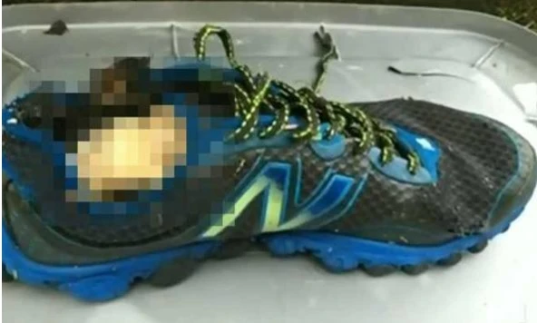 Quattordici piedi dentro le scarpe ritrovati sulle spiagge: dopo undici anni risolto il mistero